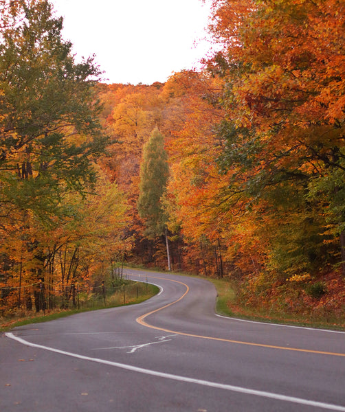 Must-Try Hikes in Ottawa