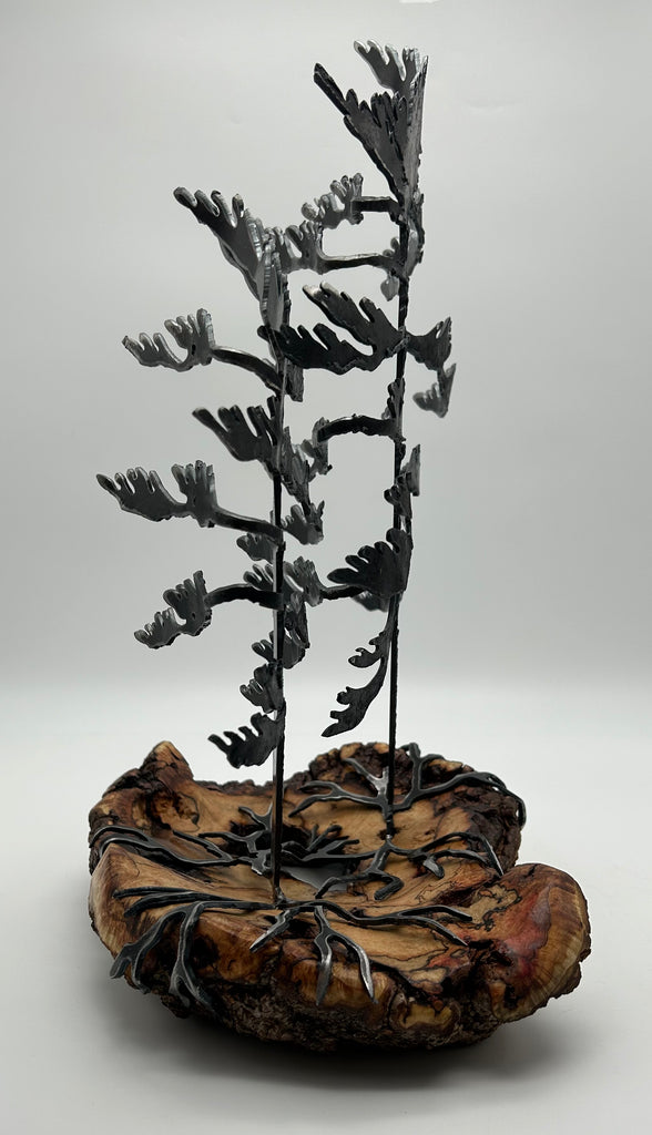 Cathy Mark - Wood Sculpture