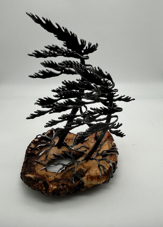 Cathy Mark - Wood Sculpture