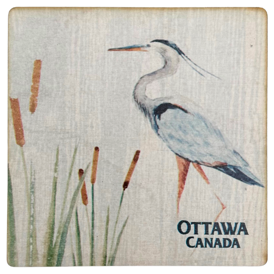 A square wooden coaster with a majestic blue heron standing in reeds against a white background and "Ottawa, Canada" written on the bottom.