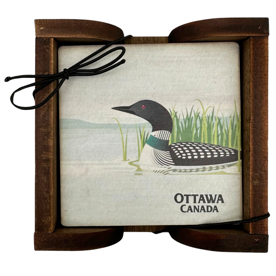 A square wooden coaster displayed in an attractive wooden holder. The coaster shows a common loon swimming in the shallows of a misty lake. In the bottom right, the coaster reads "Ottawa Canada"