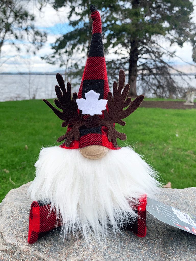 Canadian Moose Gnome - Ivory