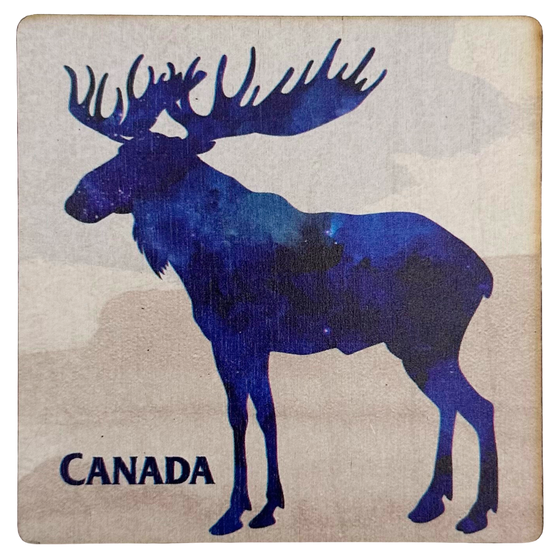 A square magnet depicting the dark blue night-sky patterned silhouette of a moose against a beige background. "Canada" is written in dark blue near the bottom left corner.