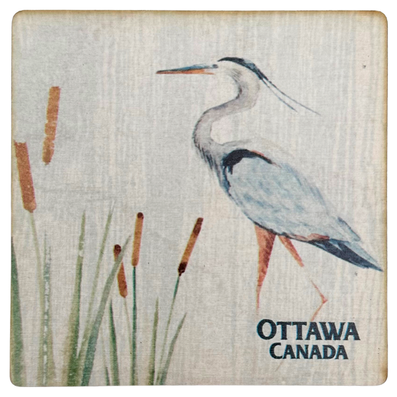 A square magnet featuring a white and blue coloured Great Blue Heron standing among green and brown cattails, against a white background. "Ottawa, Canada" is written in dark blue in the bottom right corner.