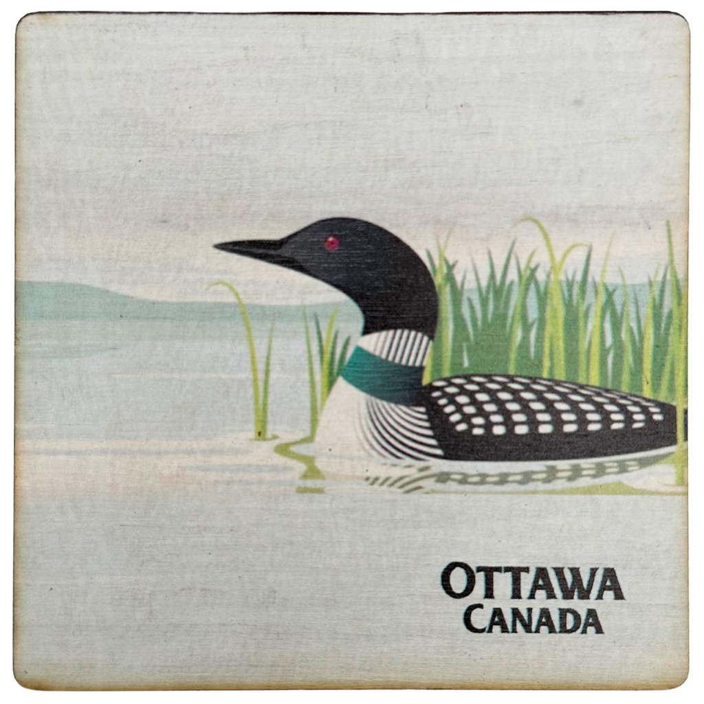 A square magnet featuring a black and white loon in light blue water. Green grass sticks out of the water behind the loon, and a white sky is above. "Ottawa, Canada" is written in black in the bottom right corner.