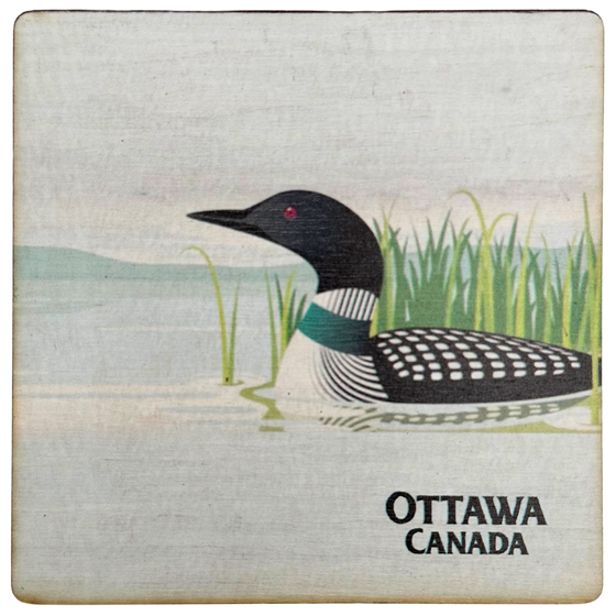 A square magnet featuring a black and white loon in light blue water. Green grass sticks out of the water behind the loon, and a white sky is above. "Ottawa, Canada" is written in black in the bottom right corner.