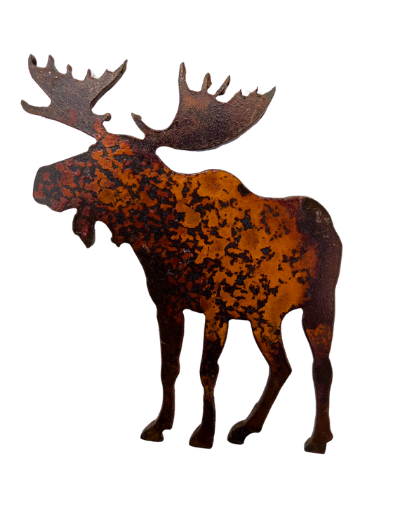 An iconic Canadian moose, cut from sheet steel and oxidised to a tasteful and unique rust pattern.