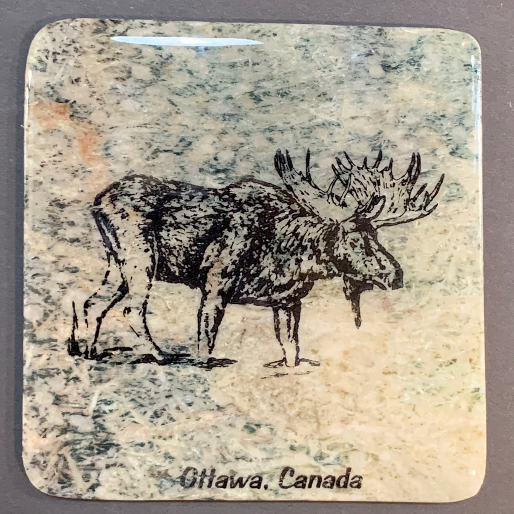 This coaster features the image of the side view of a moose as it walks into a pond with the words Ottawa, Canada below. The image is on a piece of canadian shield marble with mineral lines running through in unique colours, lines, and patterns. The coaster is finished with a clear coat, giving it a shiny finish.